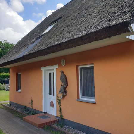 Appartamento Buhne II Og Wieck Esterno foto
